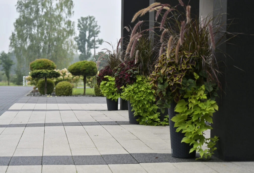 Garmażerka Jordaszka Ku Zdrowiu