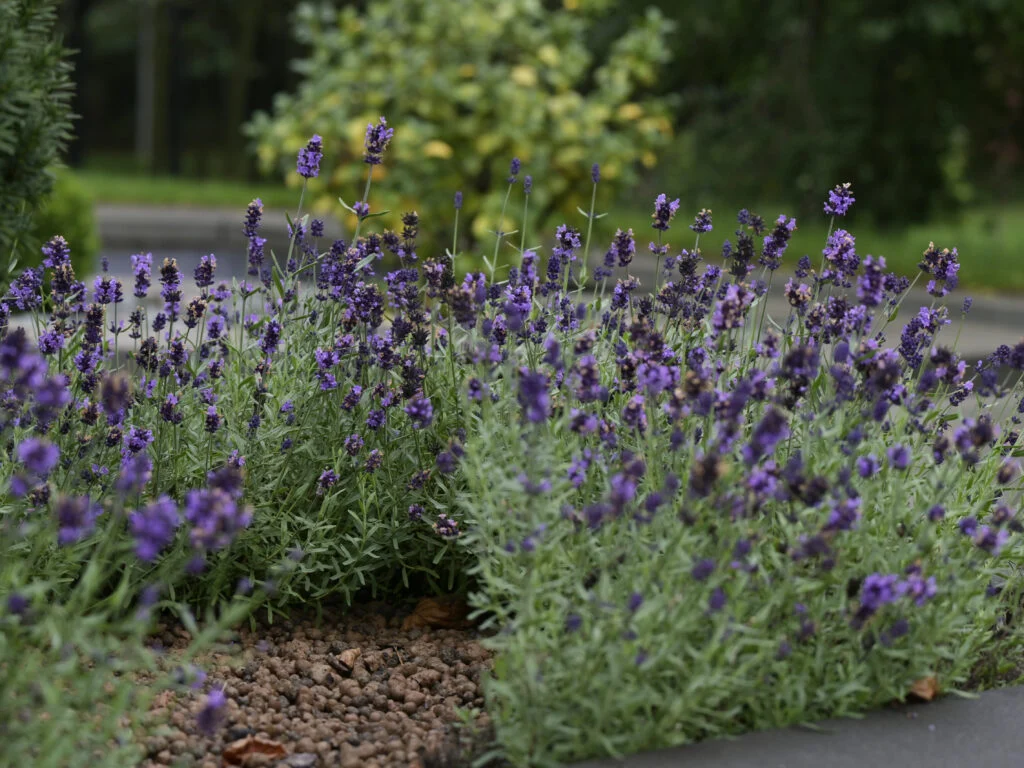 Garmażerka Jordaszka Ku Zdrowiu