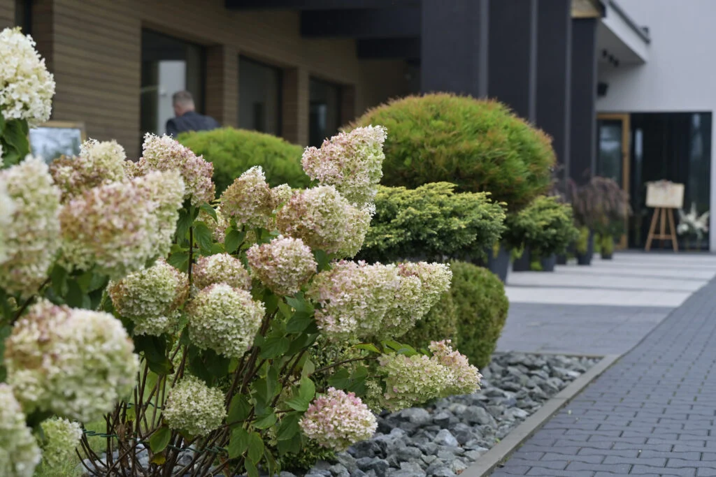 Garmażerka Jordaszka Ku Zdrowiu