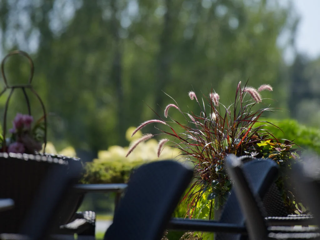 Garmażerka Jordaszka Ku Zdrowiu