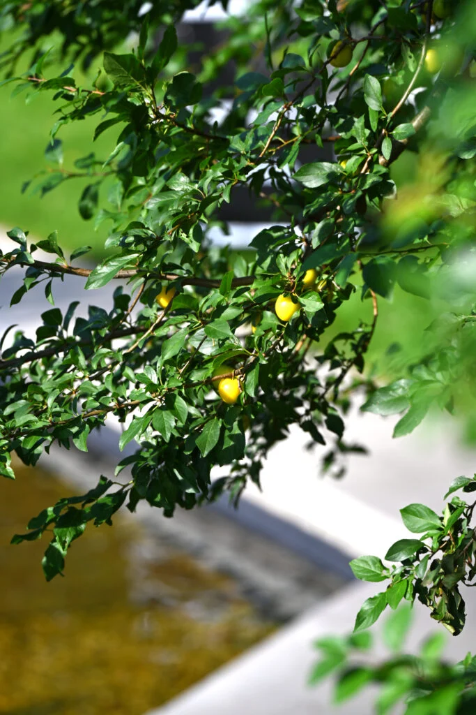 Garmażerka Jordaszka Ku Zdrowiu