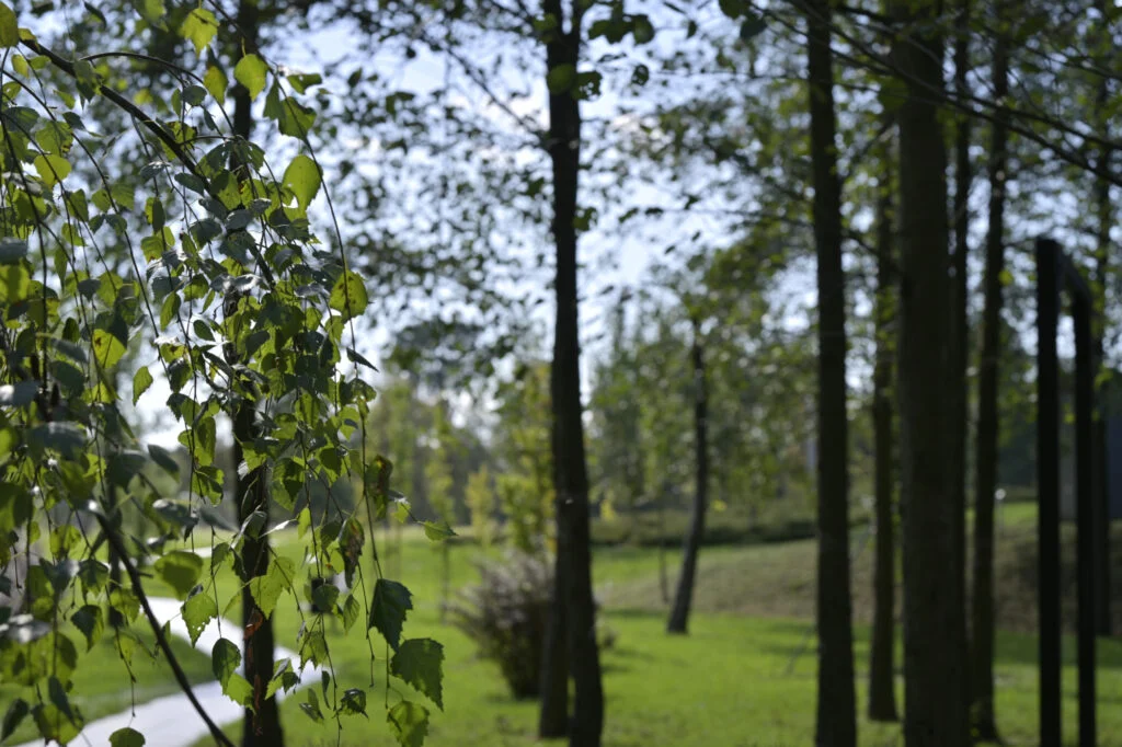 Garmażerka Jordaszka Ku Zdrowiu